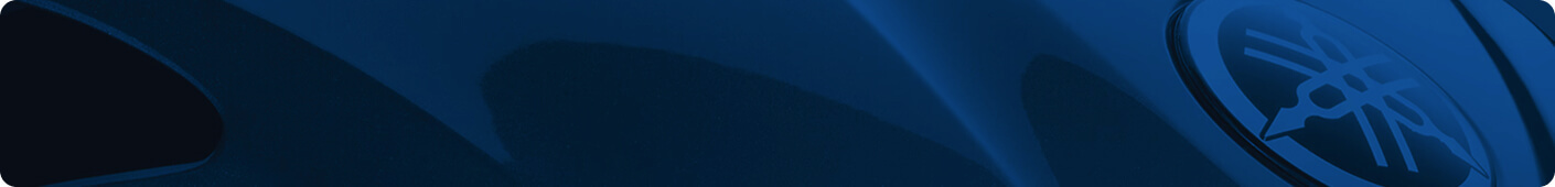 Support Banner Background